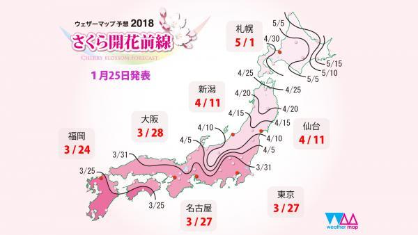 日本樱花什么时候开，日本樱花开花季日程表和攻略（东京：樱花盛放）