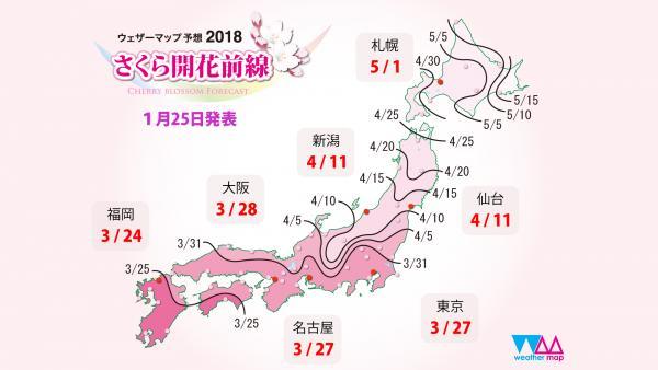 日本樱花什么时候开，日本樱花开花季日程表和攻略（东京：樱花盛放）