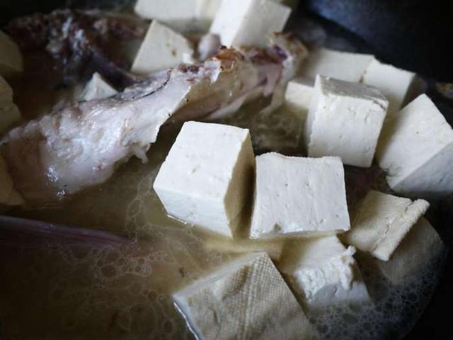 家常胖头鱼炖豆腐，豆腐和鱼是绝佳搭档