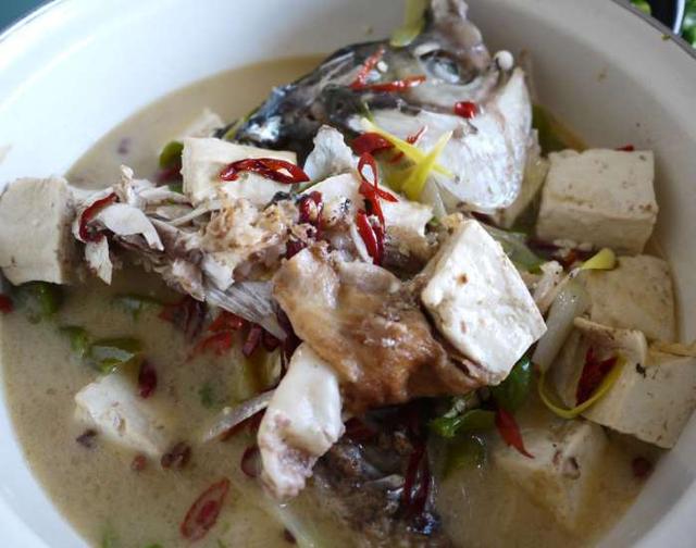 家常胖头鱼炖豆腐，豆腐和鱼是绝佳搭档