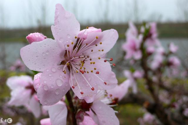 东莞百花洲旅游景点，机动项目无限次玩