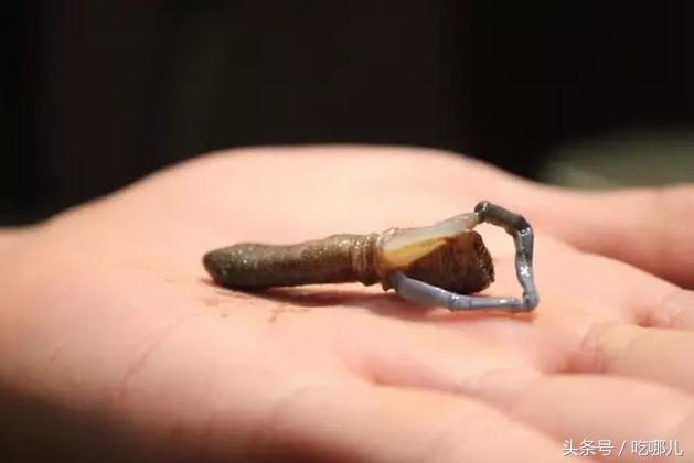 厦门一种反人类的美食土笋冻，闽南特色土笋冻小吃