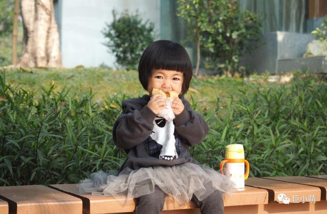 最好看的宠物公园，连导视都可可爱爱