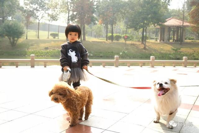 最好看的宠物公园，连导视都可可爱爱