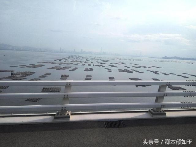 香港旅游必到十大景点有哪些，一起看看香港最值得去的10个旅行地
