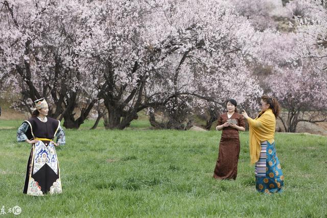 东莞百花洲旅游景点，机动项目无限次玩