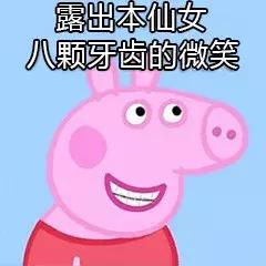 施华洛世奇水晶笔，每个牌子必买的文具有哪些（飞机上可淘免税品）