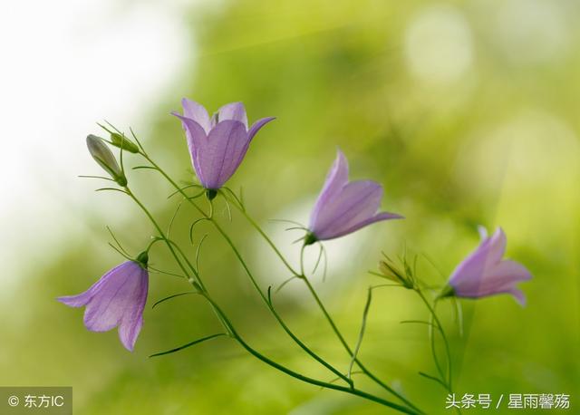 从句在前的主语从句例句，几个例句让你理解主语从句