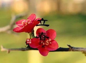 立春的寄语：送给亲人和朋友