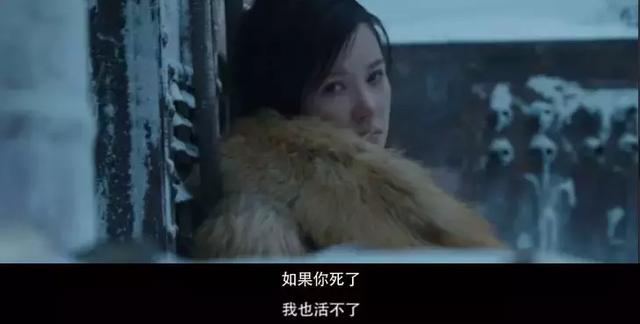 夫妻的故事并不是从南极开始，在南极的绝境中