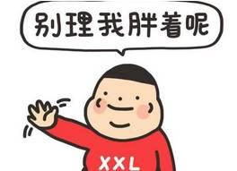 肥胖阶段(肥胖的关键期)