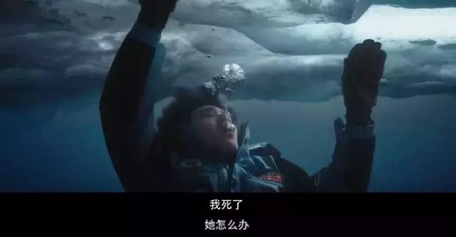 夫妻的故事并不是从南极开始，在南极的绝境中