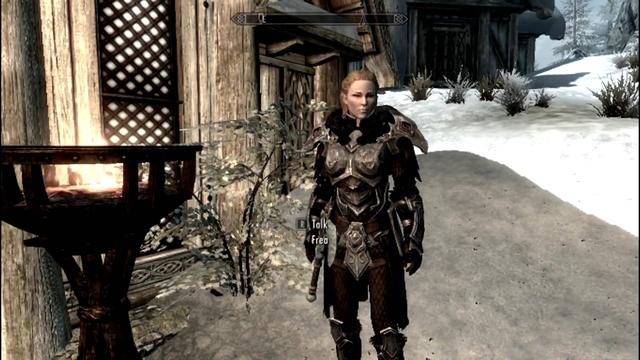 上古卷轴5随从，上古卷轴5随从哪个最厉害（盘点十大忠心的随从护卫）