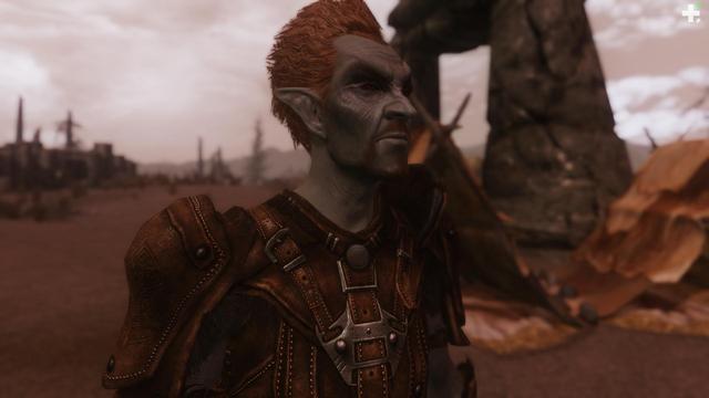 上古卷轴5随从，上古卷轴5随从哪个最厉害（盘点十大忠心的随从护卫）