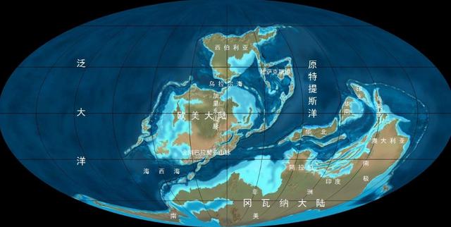  地球石炭纪时期，盘点地球的巨虫时代——石炭纪