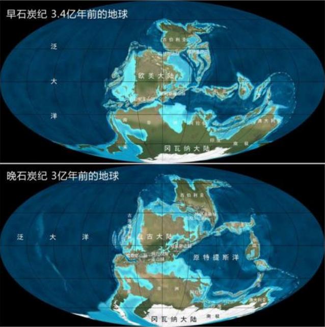  地球石炭纪时期，盘点地球的巨虫时代——石炭纪