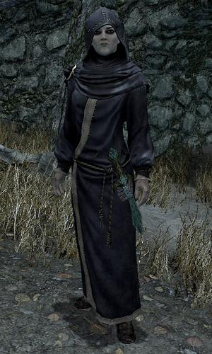 上古卷轴5随从，上古卷轴5随从哪个最厉害（盘点十大忠心的随从护卫）