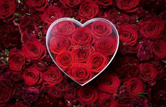 情人节礼物排行榜