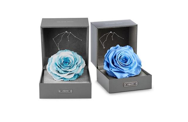 情人节礼物排行榜