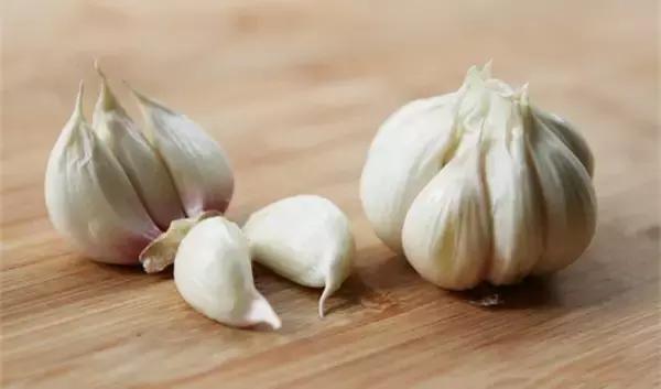 飞虫，用什么方法灭飞虫