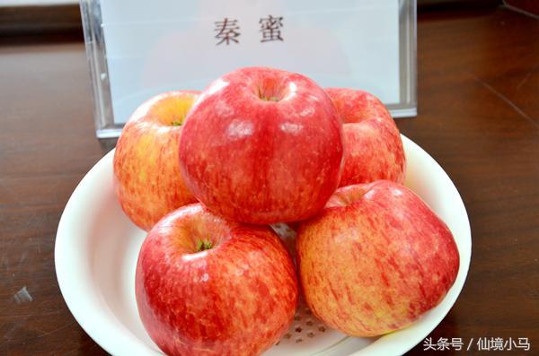当前富士苹果哪个品种好，推荐几款优选“苹果”珍稀新品种