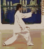 太极拳二十四式讲解教程，二十四式太极拳详解