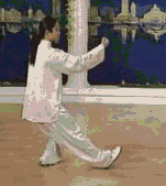 太极拳二十四式讲解教程，二十四式太极拳详解