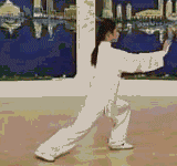 太极拳二十四式讲解教程，二十四式太极拳详解