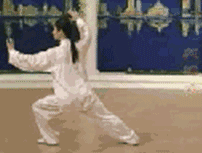 太极拳二十四式讲解教程，二十四式太极拳详解