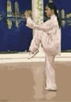 太极拳二十四式讲解教程，二十四式太极拳详解