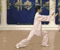 太极拳二十四式讲解教程，二十四式太极拳详解