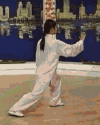 太极拳二十四式讲解教程，二十四式太极拳详解