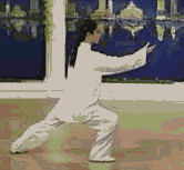 太极拳二十四式讲解教程，二十四式太极拳详解