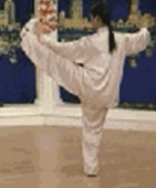 太极拳二十四式讲解教程，二十四式太极拳详解