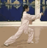 太极拳二十四式讲解教程，二十四式太极拳详解