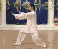 太极拳二十四式讲解教程，二十四式太极拳详解