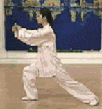 太极拳二十四式讲解教程，二十四式太极拳详解