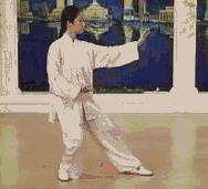 太极拳二十四式讲解教程，二十四式太极拳详解