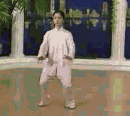 太极拳二十四式讲解教程，二十四式太极拳详解