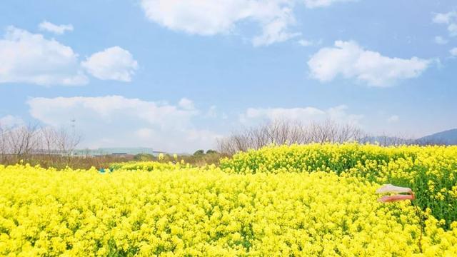 正能量早安心语180323：决定成功的是奋斗，决定命运的是自己