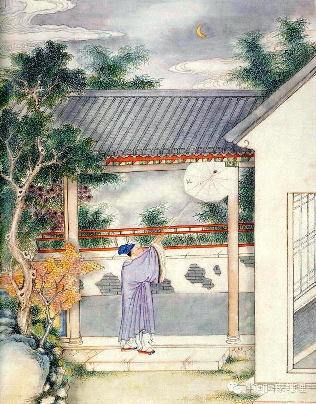 妖怪修炼手册，妖怪成长记（妖精修炼手册：主人）