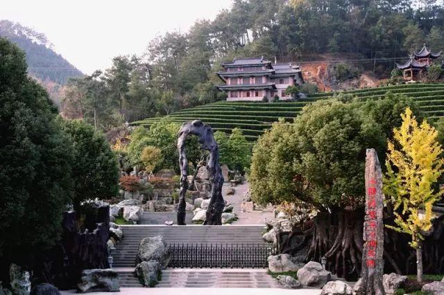 三衢石林风景区，春节假期浪起来（衢州白天游玩景点有哪些）