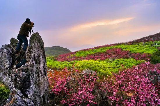 2022年恭城桃花节是几月几日，恭城桃花节如期而至