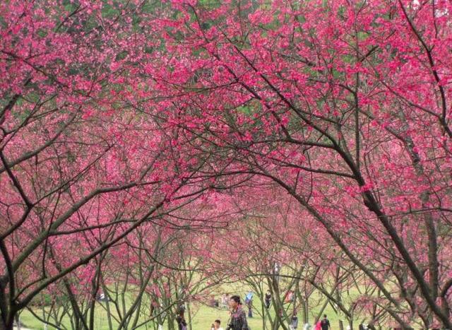 南宁半日游免费景点大全，南宁47个景点够玩一整年