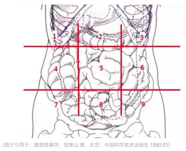 肚子应该是软的还是硬的，肚子到底是哪里在痛都没搞清楚