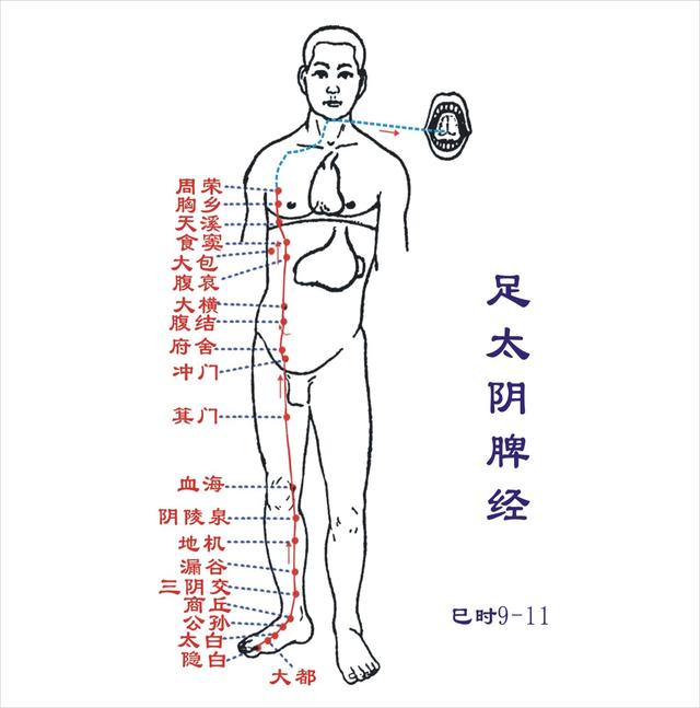 脚的各个部位详细图，一份“双脚疼痛图解”