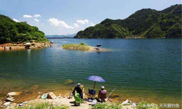 浑水钓鱼有绝招，今天才知道浑水钓鱼效果这么好