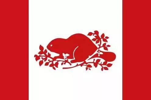 法国十大必知品牌，这几个来自加拿大的牛逼品牌