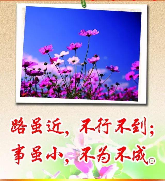早安心语正能量180309：努力是件美好的事情，是年轻人应该有的状态