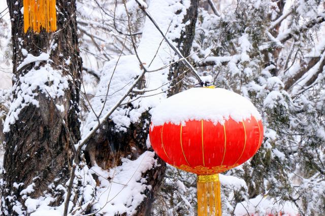 新年都未有芳华，二月当心倒春寒（诚邀至幸访画家——记中国著名实力派画家李世新）